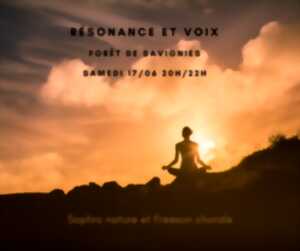 Résonance et voix