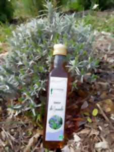 VISITE DU CHAMP DE PLANTES AROMATIQUES - LA SIROTERIE DU PIC