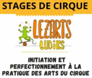 Stage des arts du cirque avec Lezarts Ludiks