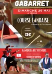 Course landaise