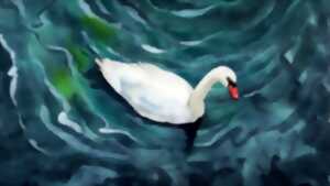 photo Expo-vente : Peinture sur soie