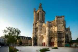 Rencontres estivales de la Cathédrale - Conférences