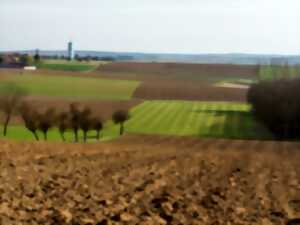 photo Ferme ouverte et concour de labour 2025