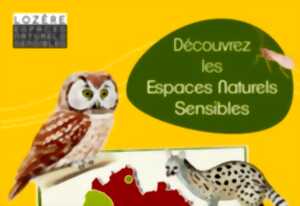 OBSERVER LES OISEAUX ET S'INITIER AUX SCIENCES PARTICIPATIVES - CHARLES DUTERTE
