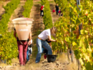XXÈME FÊTE DES VENDANGES
