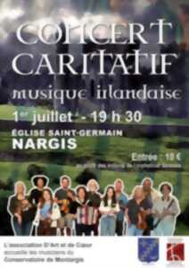 Concert musique irlandaise