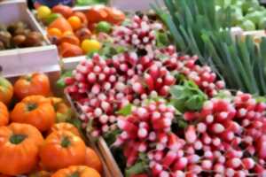 MARCHÉ AU SERRE DE LA CAN