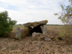 Visite des dolmens de la nécropole de Monpalais