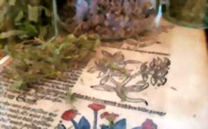 photo Atelier enfants : les secrets des couleurs, peintures végétales