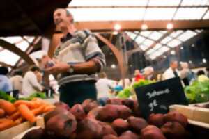 photo Marché de Brive