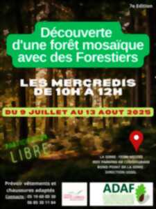 Découverte d'une forêt mosaïque avec des forestiers