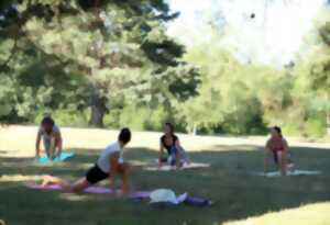 Cours de yoga collectifs en plein air