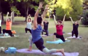 Cours de yoga collectifs en plein air