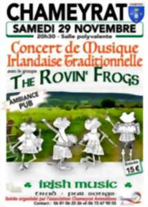 photo Concert  de musique Irlandaise traditionnelle