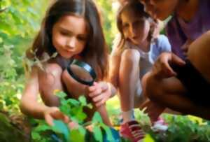 photo Domaine de Sédières : Devenez explorateur de la nature en forêt