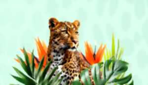 photo Salon Passion voyage (Espace des trois provinces)