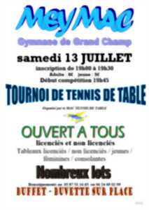 Tournoi Tennis de Table