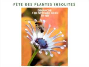 Fête des plantes insolites