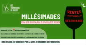 photo Les Millésimades de Buzet