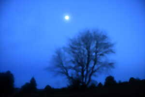 photo Balade nocturne nuit étoilée