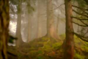 photo Animation Nature - Rallye Nature - Limoges