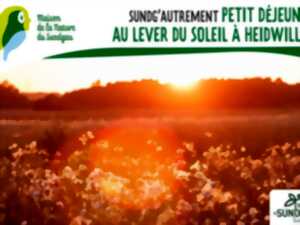 photo Petit déjeuner au lever du soleil à Heidwiller
