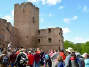 photo Expériences Mossig & Vignoble : Visite guidée du Château de Wangenbourg