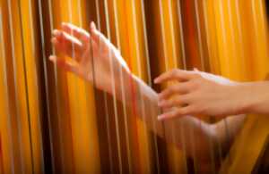 photo Concert de harpe