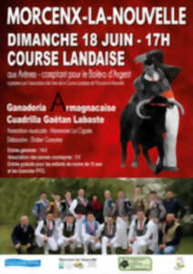 Course landaise