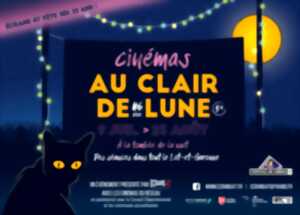 photo Festival de Cinémas 