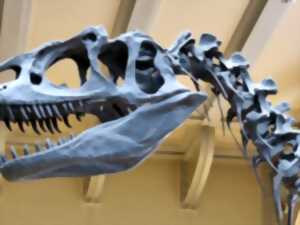 photo Exposition de dinosaures