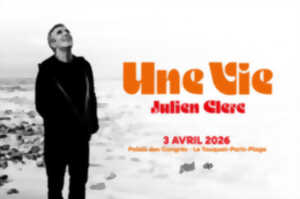 photo Julien Clerc 