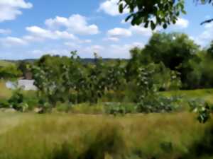 photo Visite du jardin des Lib'elles Lune