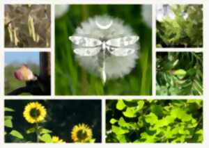 photo Atelier : découverte de la gemmothérapie