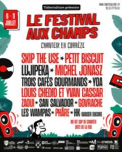 Festival aux champs : Les Fils du Facteur