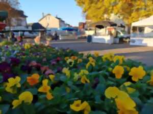 photo Marché de Pompadour