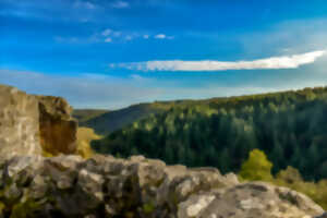 Visite : Des paysages au Château de Ventadour