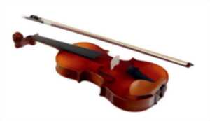 photo Concert  de musique Irlandaise traditionnelle