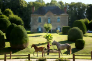 Visite du Domaine de Chignac