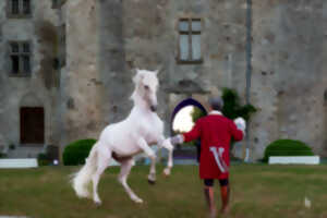 photo Cabaret équestre au château