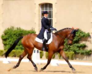 Concours de dressage