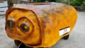 photo Course de caisse à savon