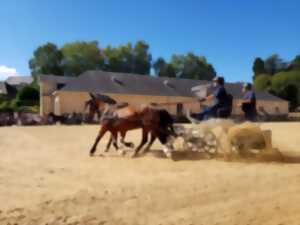 Journée du Cheval