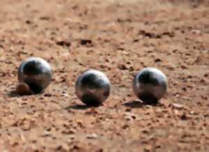Tournoi de pétanque