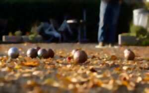 Concours de pétanque