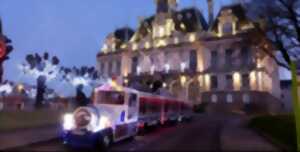 photo Le Petit Train et les Illuminations de Noël - Limoges