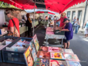 photo JOURNÉE ANTIQUITÉ BROCANTE