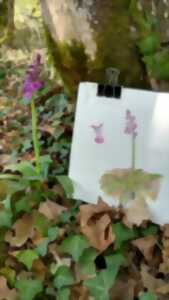 Carnet de voyage - Balades dessinées au fil de la Creuse