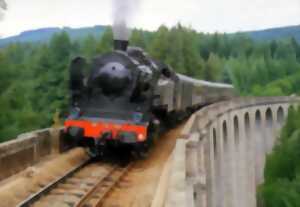 photo Train touristique à vapeur : Circuit des Gorges de la Vienne - 14 juillet