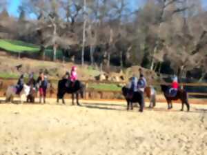 Eté actif : Équitation : activités ludiques